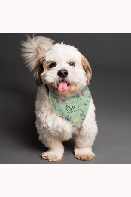 Personalised Easter Dog Bandana