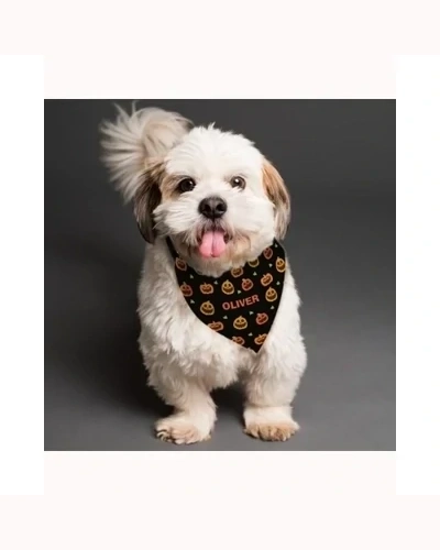 Personalised Pumpkin Patch Dog Bandana