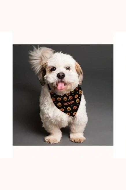 Personalised Pumpkin Patch Dog Bandana