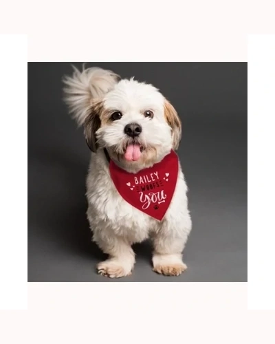 Personalised Woofs You Dog Bandana Personalised Woofs You Dog Bandana