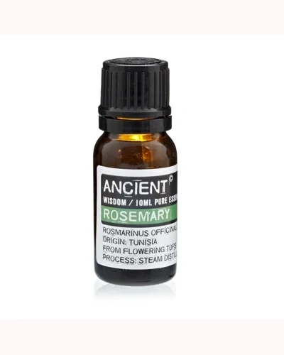 Rosemary Essential Oil Rosemary Essential Oil