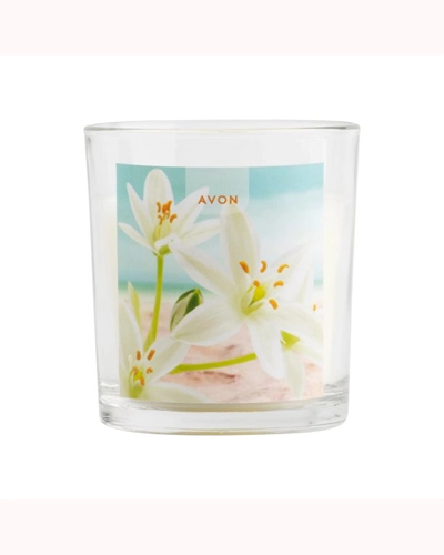 Sand Lily & Amber Scented Candle Sand Lily & Amber Scented Candle