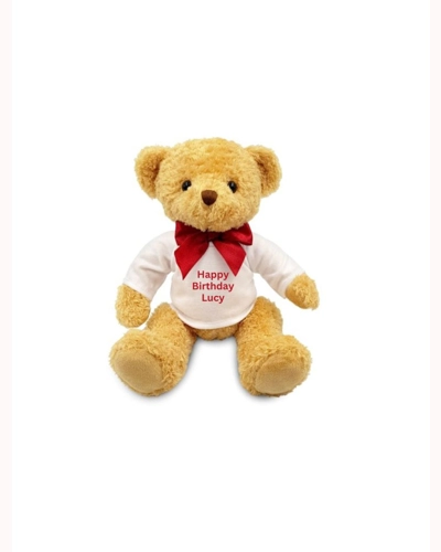 Teddy Bear Teddy Bear