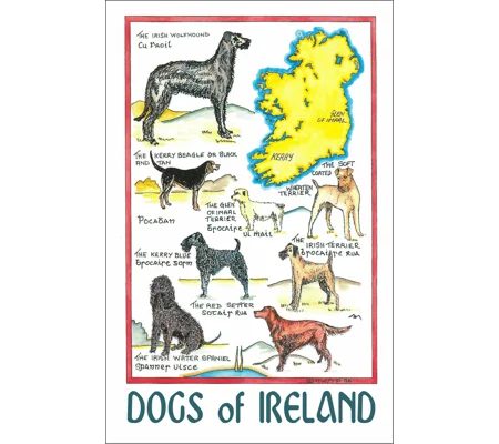 DOGS OF IRELAND