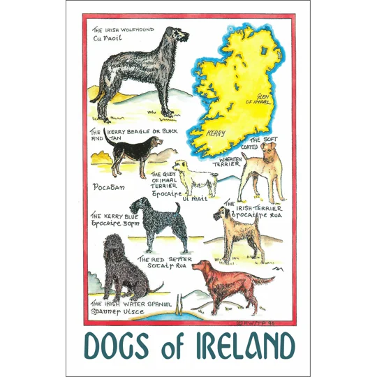 DOGS OF IRELAND
