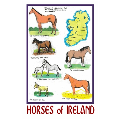 HORSES OF IRELAND