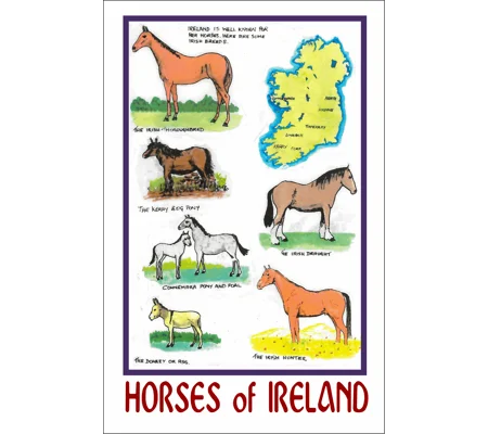HORSES OF IRELAND