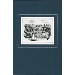 IRISH INCUMBERED ESTATES by Mary C. Lyons
