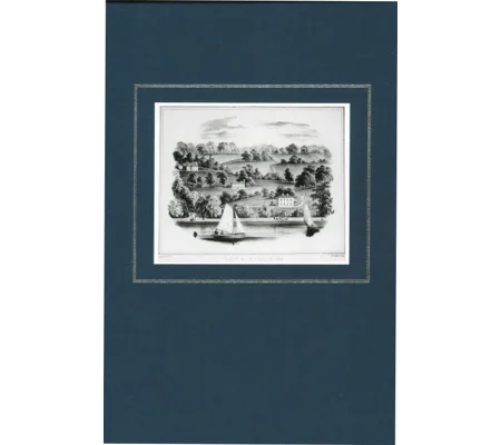 IRISH INCUMBERED ESTATES by Mary C. Lyons