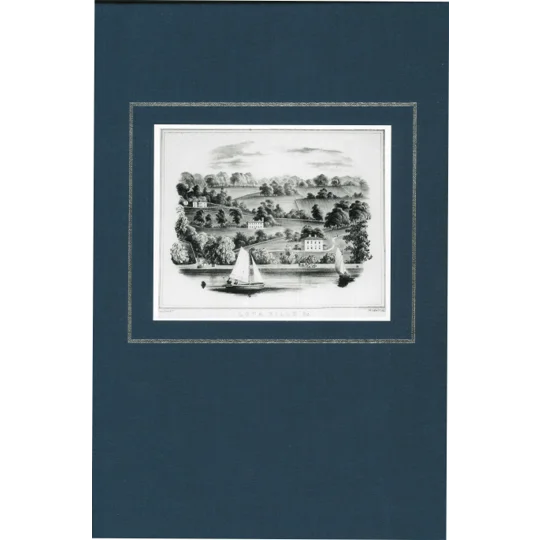 IRISH INCUMBERED ESTATES by Mary C. Lyons