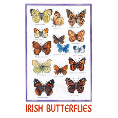 IRISH BUTTERFLIES