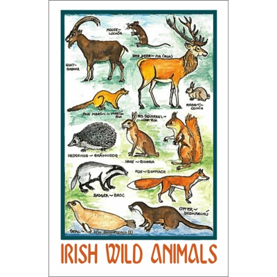 IRISH WILD ANIMALS
