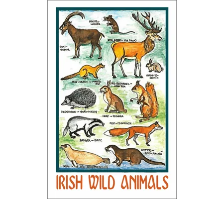 IRISH WILD ANIMALS