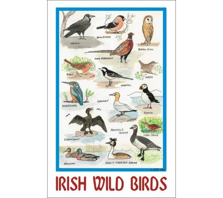 IRISH WILD BIRDS