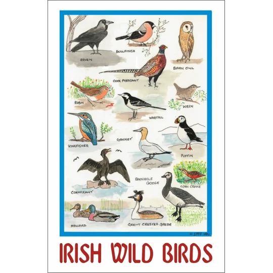 IRISH WILD BIRDS