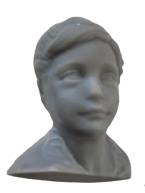 o menino do Grou cinzento