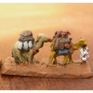 DA12 Pack camels