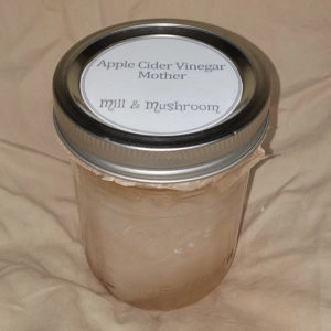 Apple Cider Vinegar Mother Culture