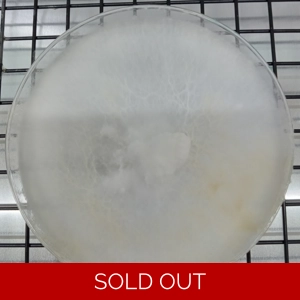 Chestnut Agar Plate