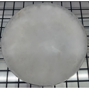 Oyster (blue) Agar Plate
