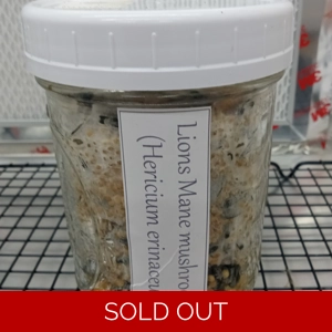 Lions Mane Grain Jar