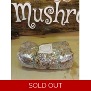 Sterile Grain Bag (2 lb)