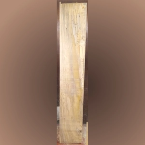 Spalted Maple (1