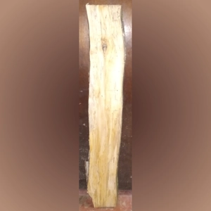 Spalted Maple (1-1/8