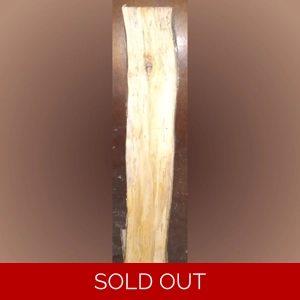 Spalted Maple (1-1/8
