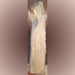 Spalted Maple (1-3/8