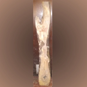 Spalted Maple (1