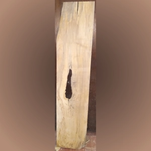Spalted Maple (1-1/8