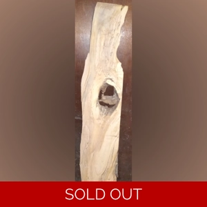 Spalted Maple (1-1/4