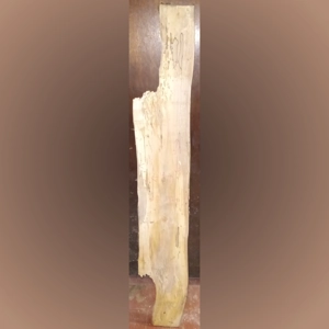 Spalted Maple (1-1/8