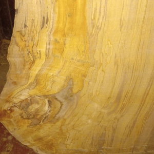 Spalted Maple (1-5/8
