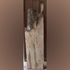 Spalted Maple (1-1/8