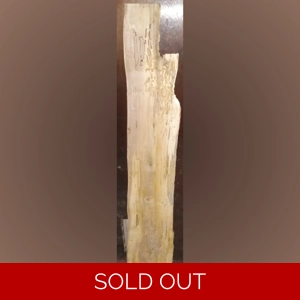 Spalted Maple (1-3/8