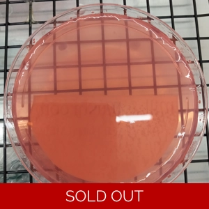 Poured Agar Plates (5 pack) (LME)