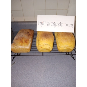 Fresh Baked Bread