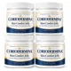 Coriodermina® Psoriasis Relief Skin Gel – 4 Pack..