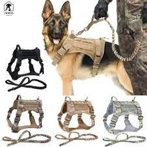 Large strong dog harness and lead set