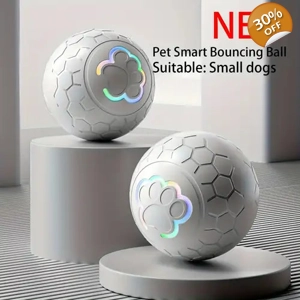 Luminous dog bouncing ball