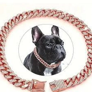 Metal chain Small dog collar