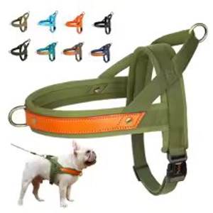 Harness for small dogs with rope sizes