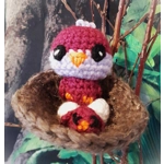 Little Birds Nest -Razberry