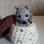 Tiny Grey Squirrel In An Acorn