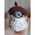 Tiny Grey Squirrel In An Acorn