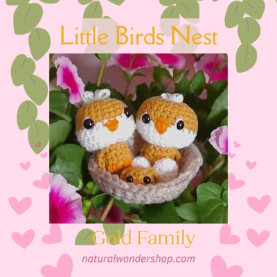 Little Birds Nest-Gold Family
