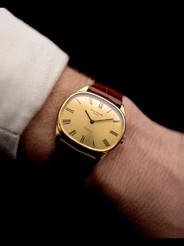 Patek Philippe Ellipse 3845 Güblin 1970s