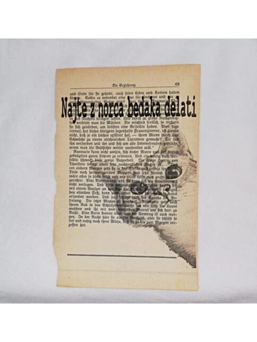 Print Purgerska maca  Print Purgerska maca